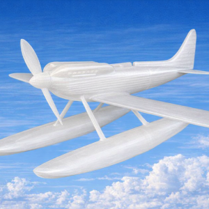 Download  36 cm wingspan Supermarine S6B